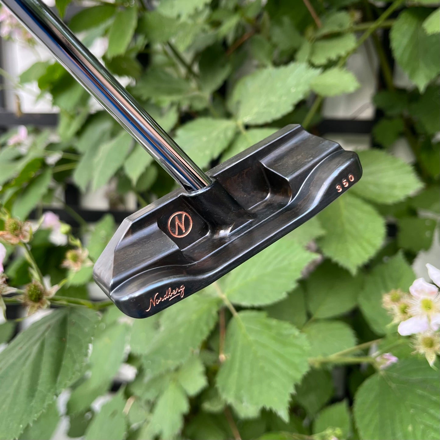 Tønsberg 1W ZT