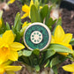 Masters Mark 2026