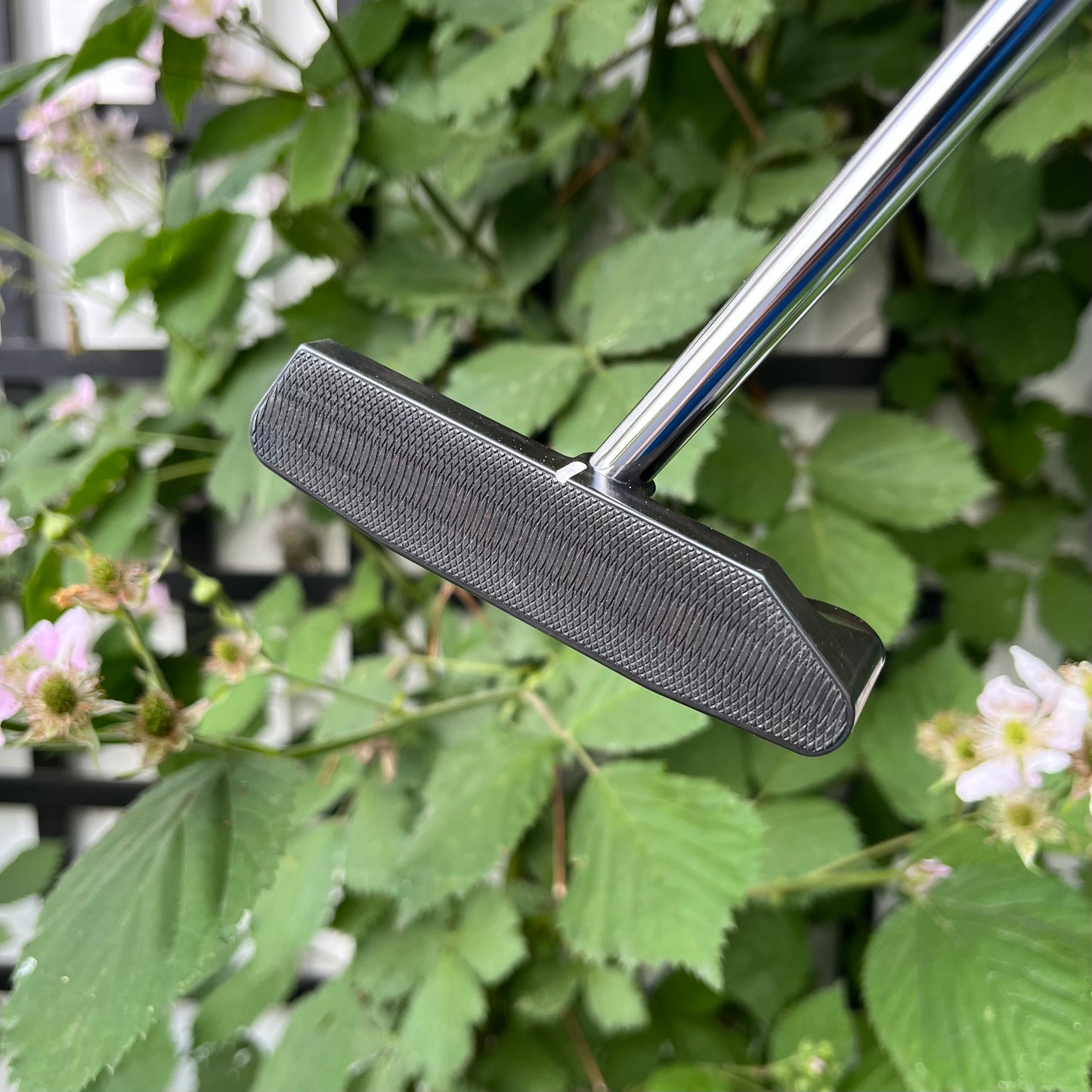 Tønsberg 1W ZT